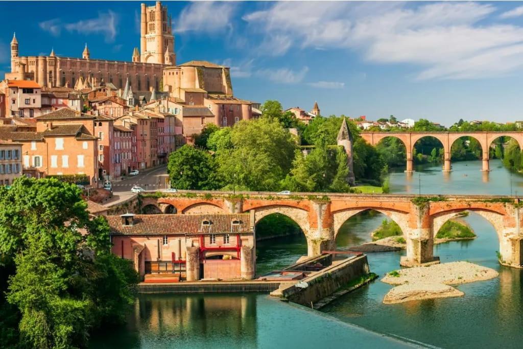 Pensión Le Central - Chambre Privative Avec Salon Et Terrasse Privee Toulouse